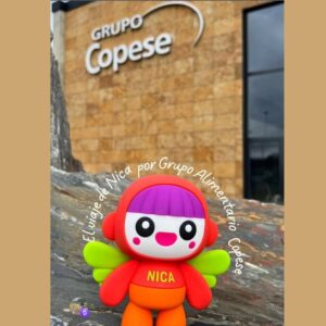 Grupo Copese Nica
