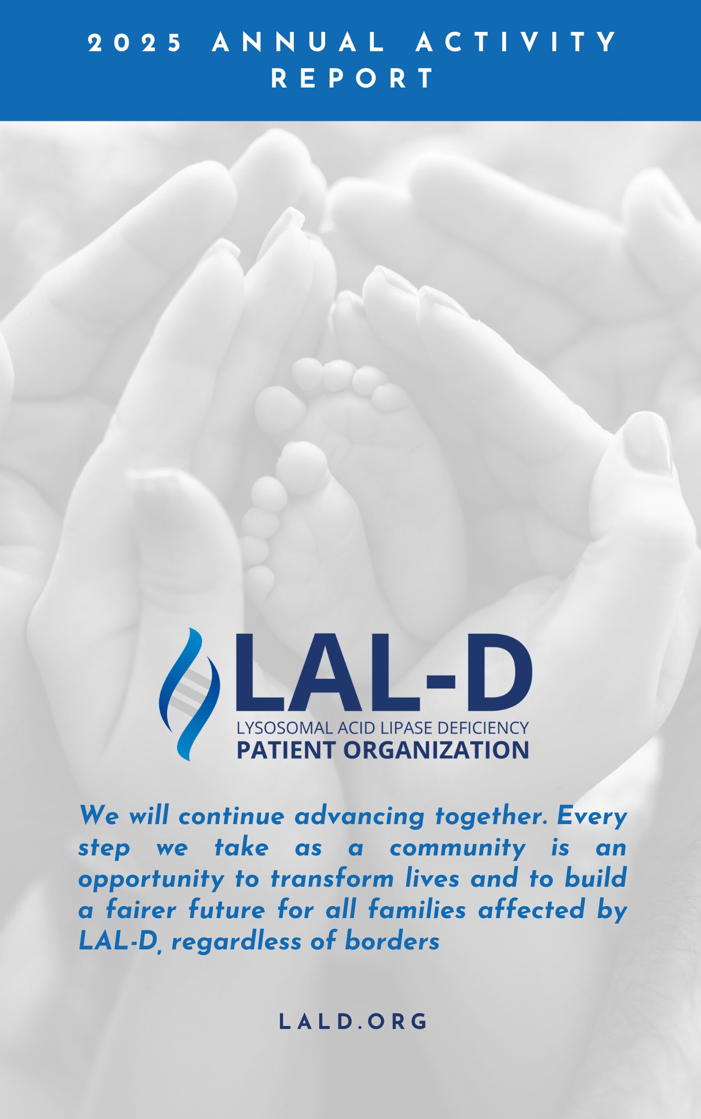 2025 LAL-D PO annual activity report