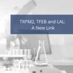 TRPM2, TFEB and LAL: A New Link